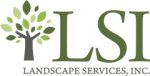 LSI Logosm