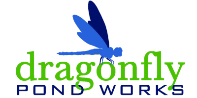 dragonfly-pond-works
